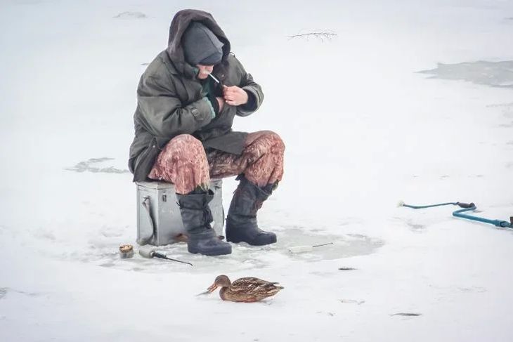 Запрет на ловлю в белоруссии