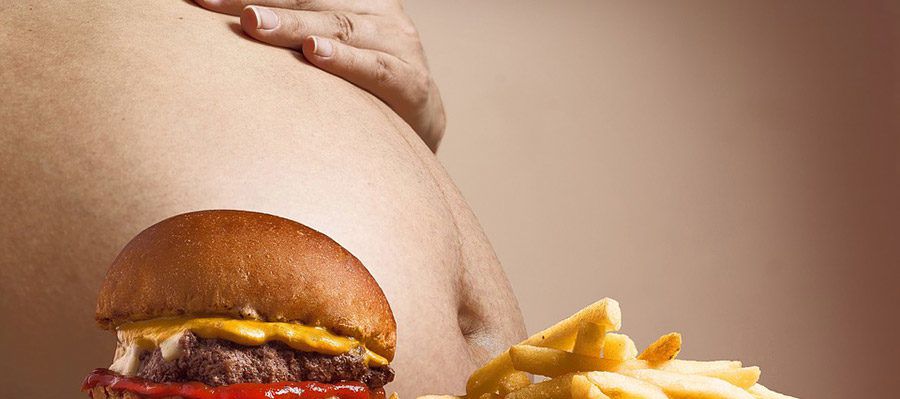 Ученые пришли к выводу, что ожирение может повредить важные части мозга